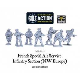 French SAS (NWE) sections