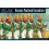 Napoleonic Wars: Pavlovsk Grenadier Regiment 1789-1815