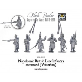 Napoleonic British Line Infantry command (Waterloo campaign)