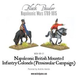 Mounted Napoleonic British Infantry Officers (Pensinsular War)