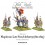 Napoleonic War Late French Line Infantry