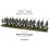 Polish Vistula Legion