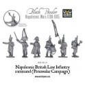 Napoleonic British Line Infantry command (Pensinsular War)
