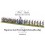 Napoleonic Late French Light Infantry