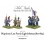 Napoleonic Late French Light Infantry