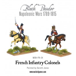 Colonels français à cheval