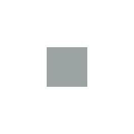 GRIS BLEU CLAIR
