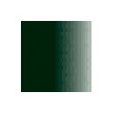 Vert Fonce URSS WWII Olivegrun