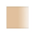 Beige Radome