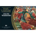 Ancient Celts: Celtic Warriors
